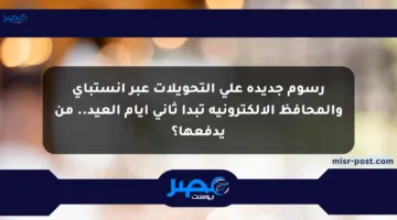 رسوم جديدة على التحويلات عبر إنستباي والمحافظ الإلكترونية تبدأ ثاني أيام العيد.. من يدفعها؟
